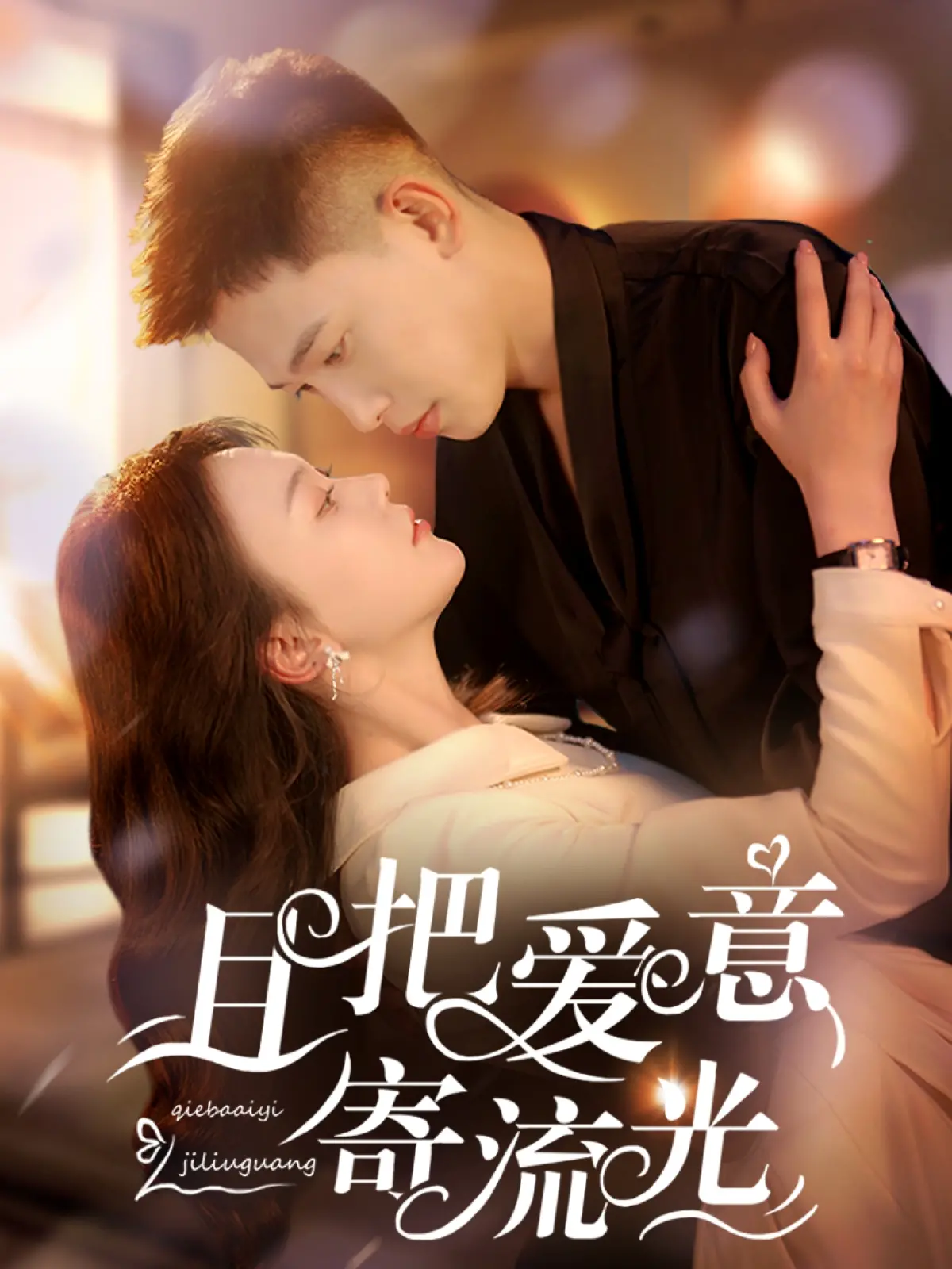 且把爱意寄流光 海报