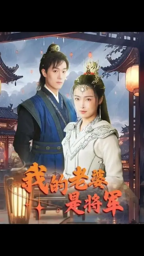 我的老婆是将军 海报