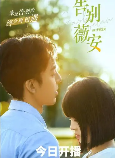 《告别薇安》：当爱情遭遇背叛，都市女性的自我救赎与勇敢告别