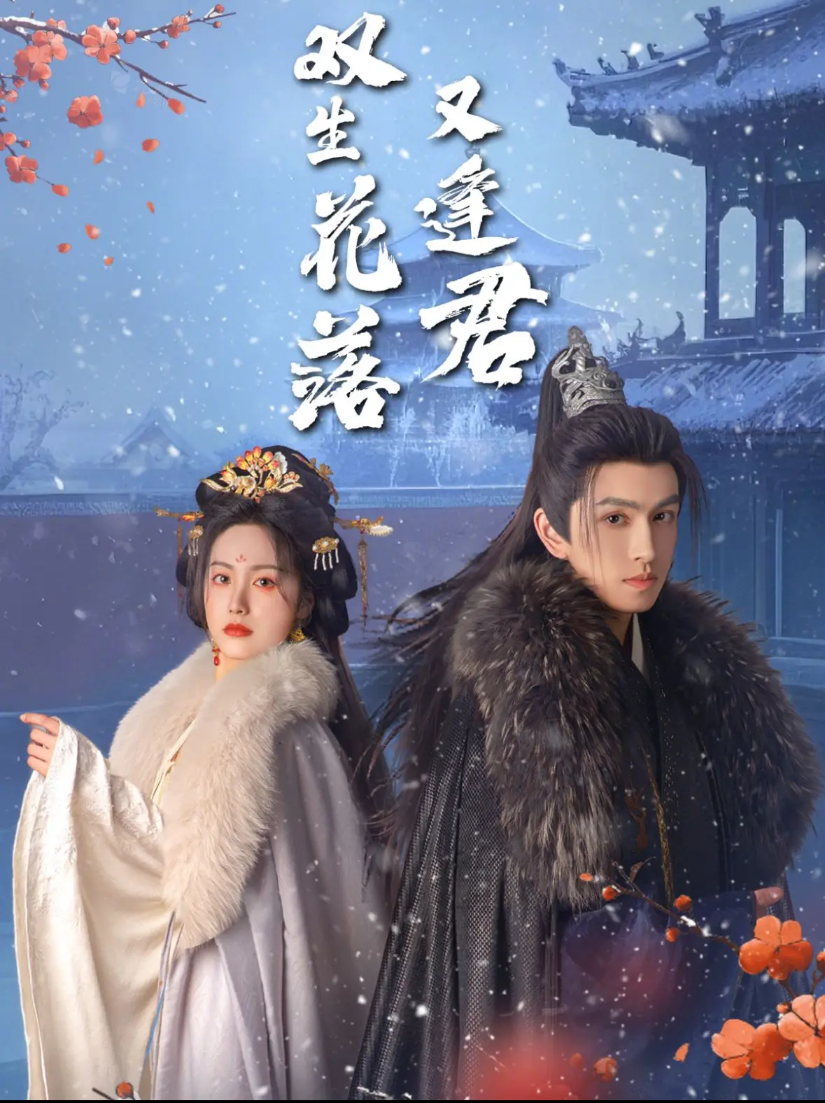 双生花落又逢君 海报