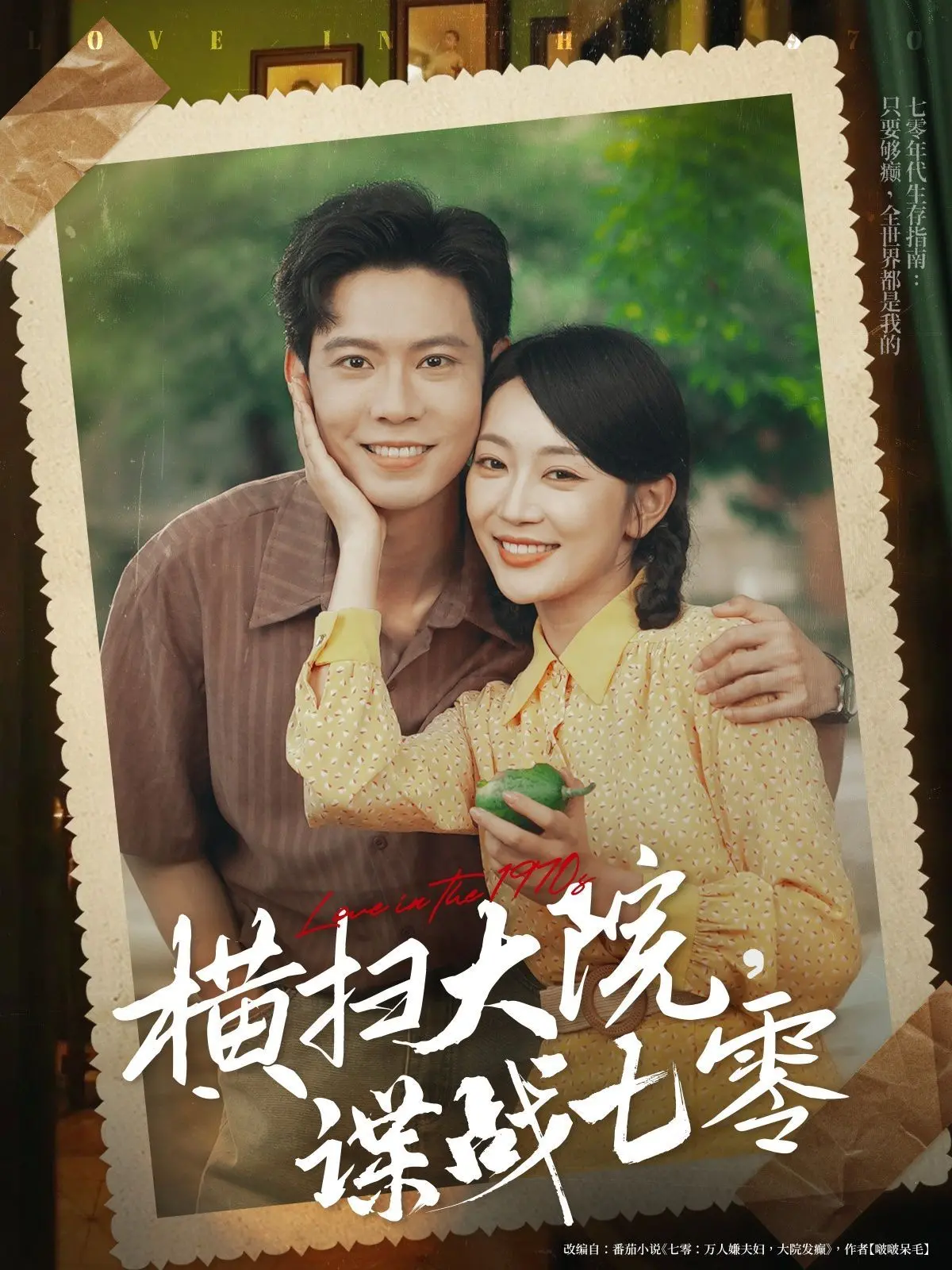 横扫大院谍战七零 海报