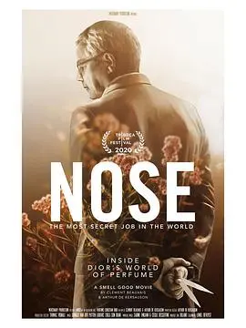 《寻香之旅》：修仙与感官探险的奇妙融合，带你开启一场心灵洗礼的旅程